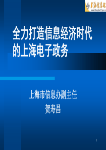 全力打造信息经济时代的上海电子政务