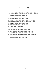 天马新区商业步行街项目可行性分析报告