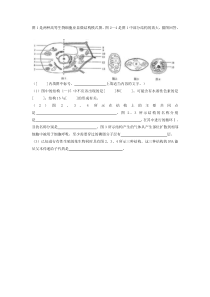 图1是两种高等生物细胞亚显微结构模式图