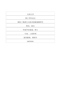 BH化工集团公司技术创新战略研究