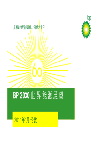 BP2030世界能源展望(中文版)