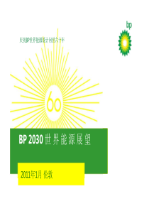 BP世界能源展望2030(XXXX年)