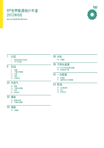 BP世界能源统计年鉴XXXX年6月中文完整版