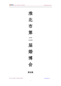 婚博会方案(广告)