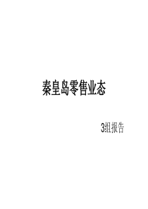 秦皇岛零售业态