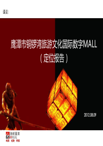 XXXX年08月鹰潭市铜锣湾旅游文化国际数字MALL定位