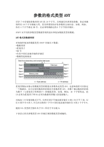 参数的格式类型ANY