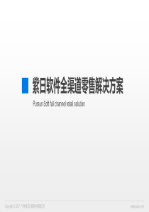 紫日全渠道零售解决方案（PDF31页）