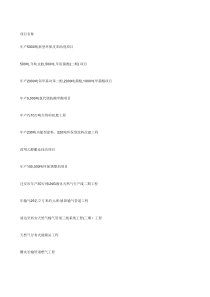 XXXX年化工项目大全(XXXX-11-22)