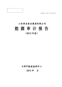 XXXX能源审计报告模板(日照市能源监测中心最终)