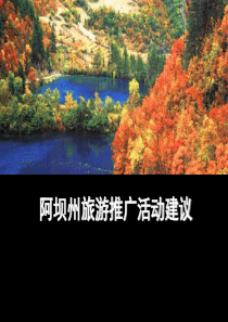 XX旅游推广活动建议