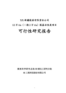 XX新疆能源公司12万ta（Ⅰ期2万ta）煤基活性炭项目可行