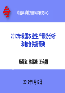 XXXX年中国农业生产形势分析及粮食需求