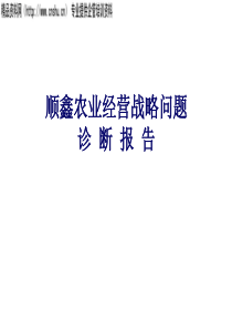 XX农业经营战略问题诊断报告（PPT97页）