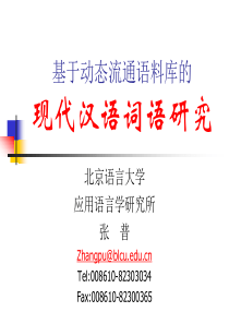 基于动态流通语料库的现代汉语词语研究