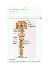 各种传导通路汇总