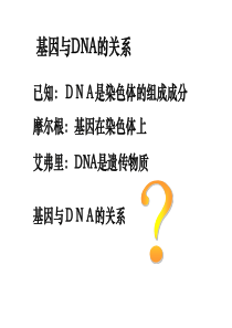 基因与DNA的关系