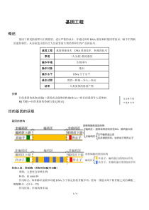 基因工程高中生物化学选修三第一单元详细知识点整理