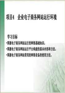 4企业电子商务网站运行环境