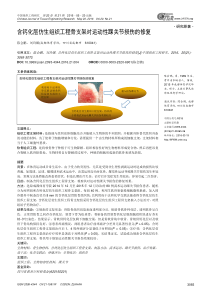 含钙化层仿生组织工程骨支架对运动性踝关节损伤的修复