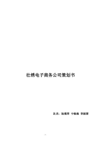 壮绣电子商务公司策划书