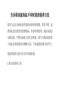 告诉你家庭鱼缸不同时段的保养方法