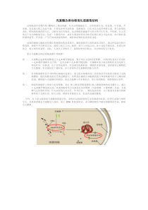 员工劳保用品发放控制办法