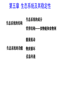 生态系统及其稳定性复习ppt课件