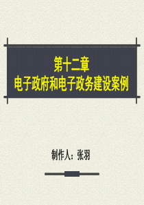 十二章电子政府和电子政务建设案例张羽