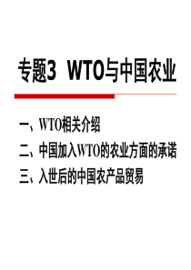 专题3WTO与中国农业