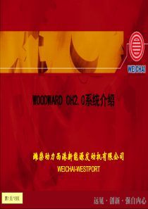 WOODWARD OH20系统介绍