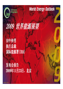 世界能源展望WEO2009-中国