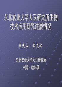 零售市场信息简报XXXX年11月12日