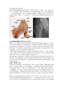 医学影像大数据与智能医疗