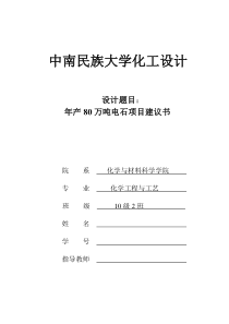 中南民大化工设计80万吨电石项目计划书