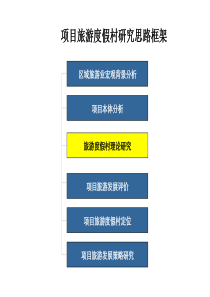 世联旅游地产最新专题研究61页