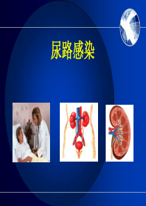 尿路感染第八版内科学