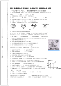 四川博睿特外国语学校八年级物理上学期期中考试题