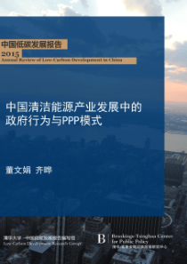 中国清洁能源能源产业发展中的行为和ppp模式