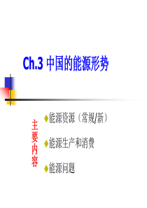 中国的能源形势分析XXXX