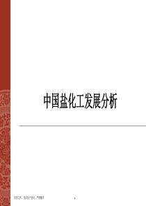 中国盐化工发展分析报告