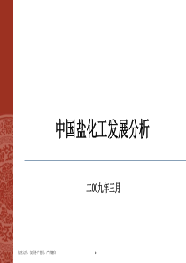 中国盐化工发展分析报告（PPT 37页）