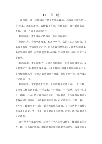 白鹅课文