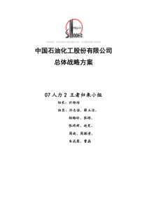 中国石油化工股份有限公司总体战略方案