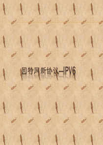 因特网新协议—IPv6