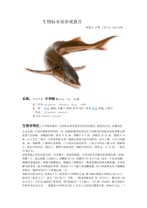 南京农业大学生物标本馆参观报告