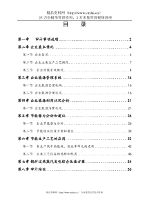 中天印染公司能源审计报告(定型)