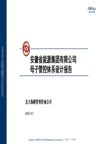 主报告3-安徽省能源集团有限公司母子管控体系设计报