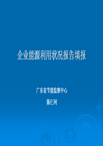 企业能源利用状况报告填报ppt-PowerPointP