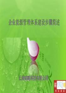 企业能源管理体系建设步骤简述（PPT61页)